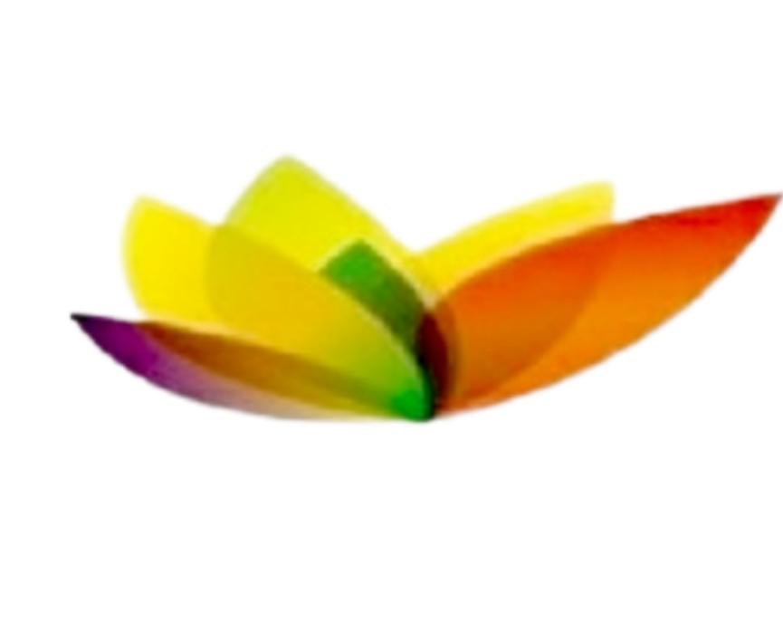 cropped-InShot_20250613_105629763.png